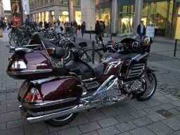 goldwing